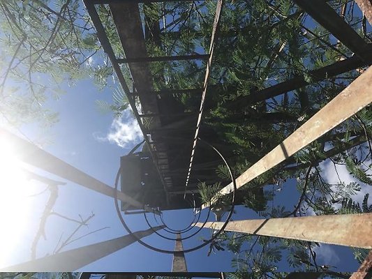 th IMG 4683 th IMG 4683