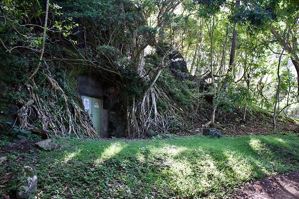 th IMG 7696 th IMG 7696