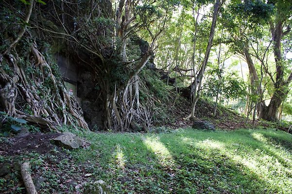 th IMG 7695 th IMG 7695