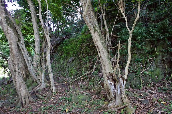 th IMG 7693 th IMG 7693