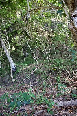 th IMG 7687 th IMG 7687