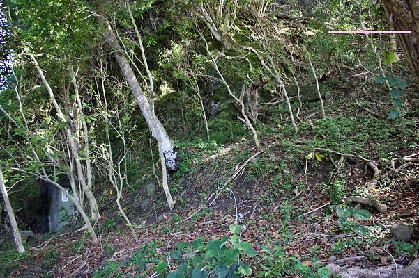 th IMG 7688 th IMG 7688