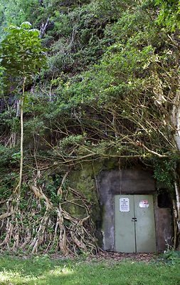 th IMG 7691 th IMG 7691