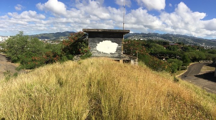 HI50 S5 Battery Harlow 24.11 HI50 S5 Battery Harlow 24.11