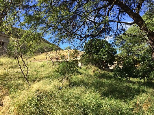 HI50 S5 Battery Harlow 38.45 HI50 S5 Battery Harlow 38.45