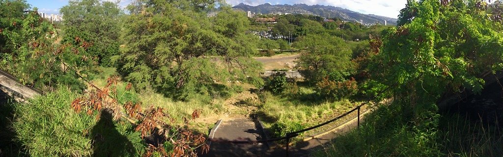 HI50 S5 Battery Harlow 18.30 HI50 S5 Battery Harlow 18.30