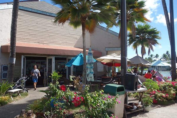 Island Brew Hawaii 377 Keahole St Pai Yu Baez 808.721.2887 Island Brew Hawaii 377 Keahole St Pai Yu Baez 808.721.2887