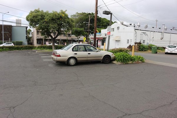 th IMG 0804 th IMG 0804