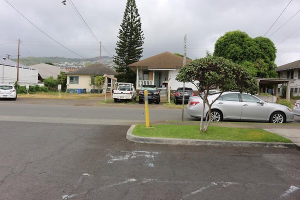 th IMG 0805 th IMG 0805