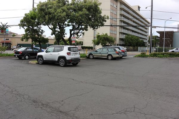 th IMG 0803 th IMG 0803