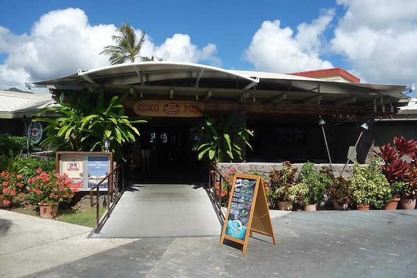 Kona Brewing Co 7192 Kalanianole Highway Scott Alexander 808.341.8768 Kona Brewing Co 7192 Kalanianole Highway Scott Alexander 808.341.8768