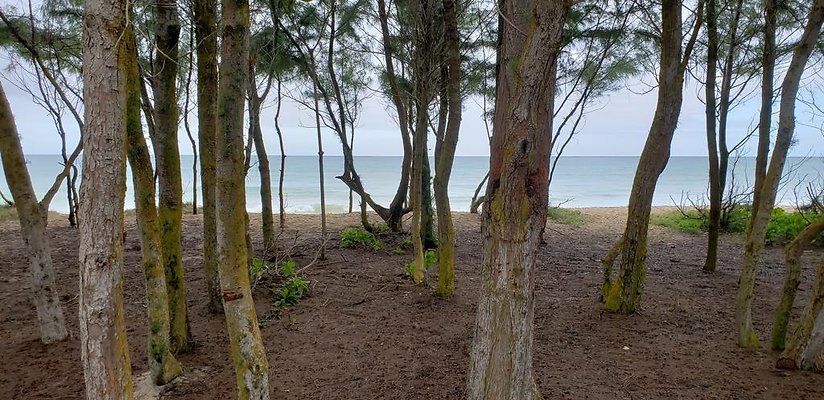 th 20190113 144842 th 20190113 144842