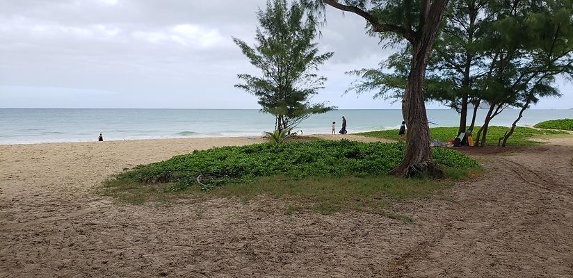 th 20190113 143548 th 20190113 143548