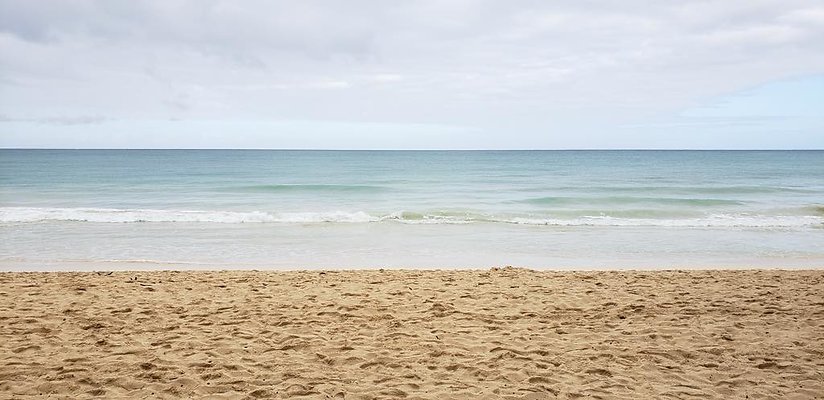 th 20190113 150134 th 20190113 150134