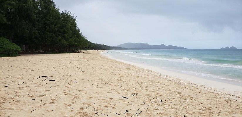 th 20190113 143720 th 20190113 143720