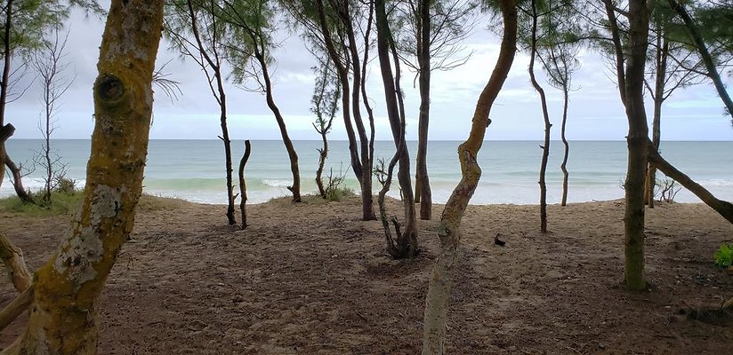 th 20190113 145007 th 20190113 145007