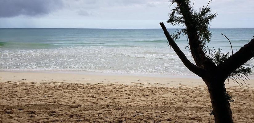 th 20190113 145151 th 20190113 145151