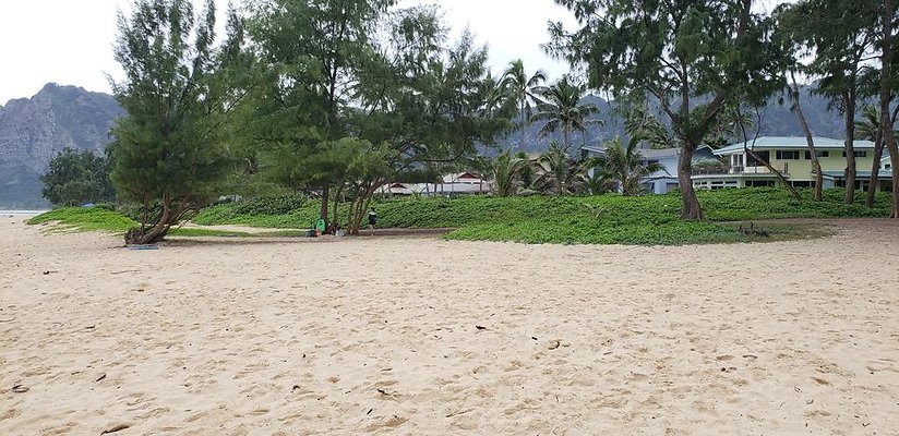 th 20190113 143911 th 20190113 143911