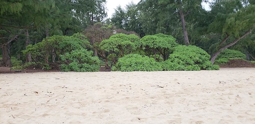 th 20190113 144500 th 20190113 144500