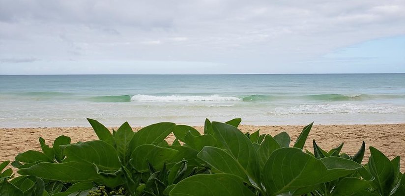 th 20190113 150114 th 20190113 150114