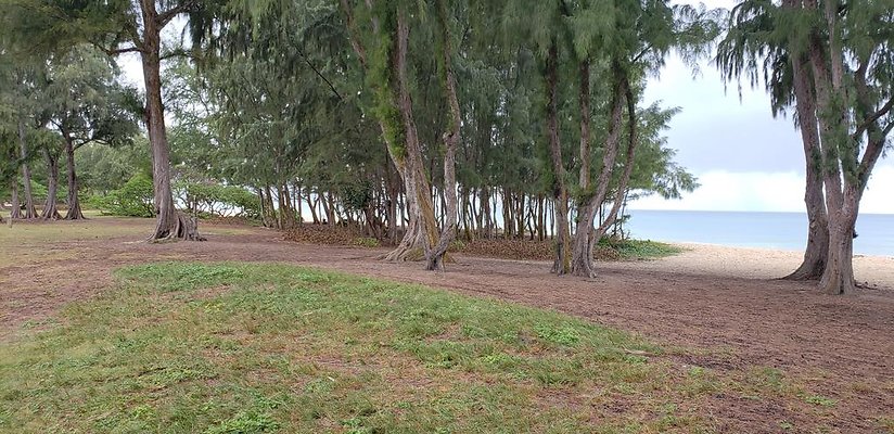 th 20190113 144143 th 20190113 144143