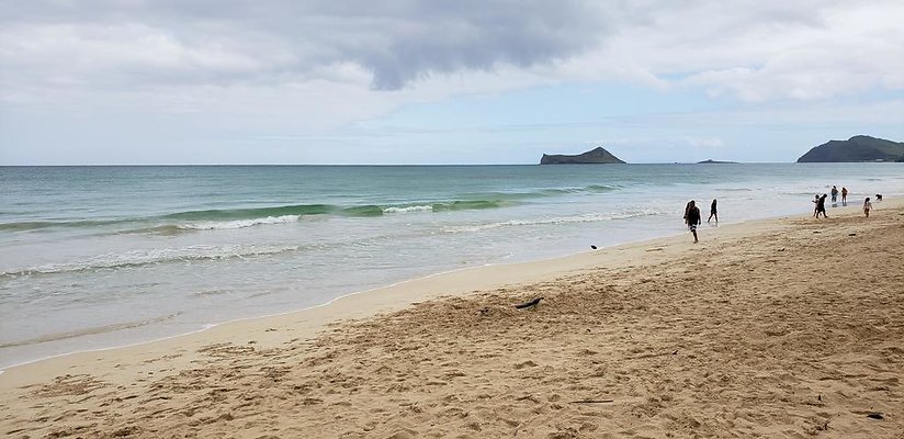 th 20190113 143843 th 20190113 143843