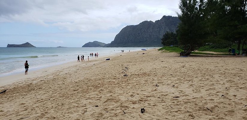 th 20190113 143820 th 20190113 143820