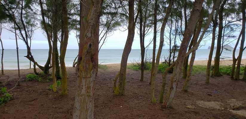 th 20190113 144931 th 20190113 144931