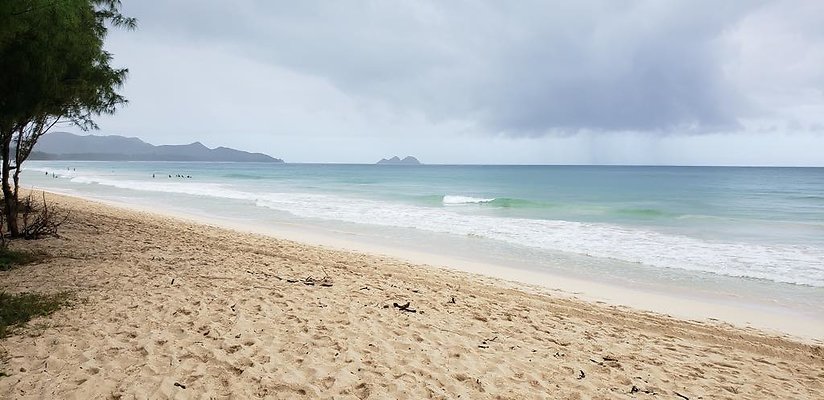 th 20190113 144243 th 20190113 144243