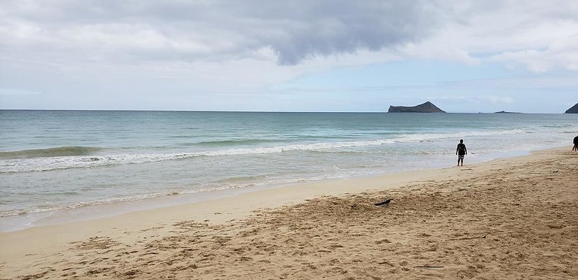 th 20190113 143758 th 20190113 143758