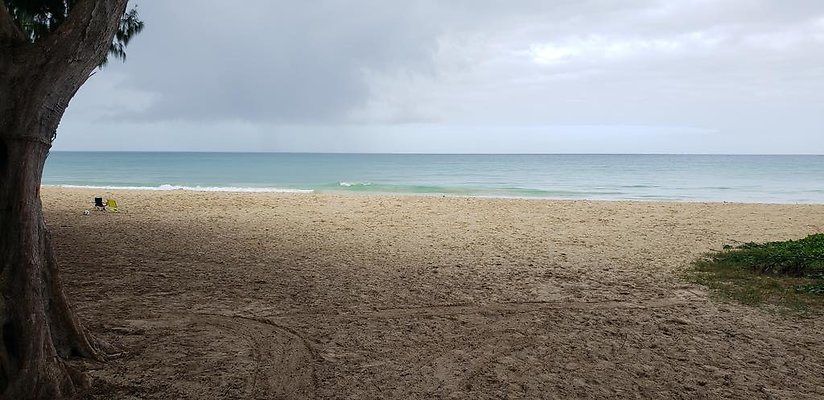 th 20190113 143525 th 20190113 143525