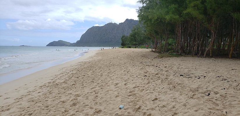 th 20190113 144419 th 20190113 144419