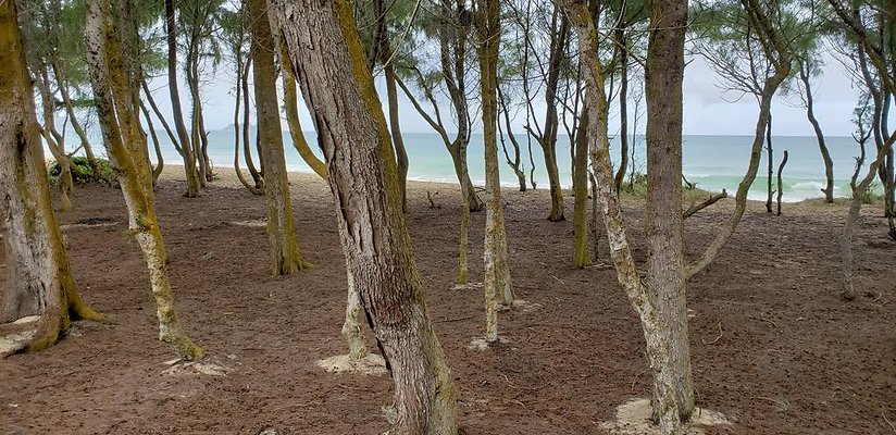 th 20190113 144758 th 20190113 144758