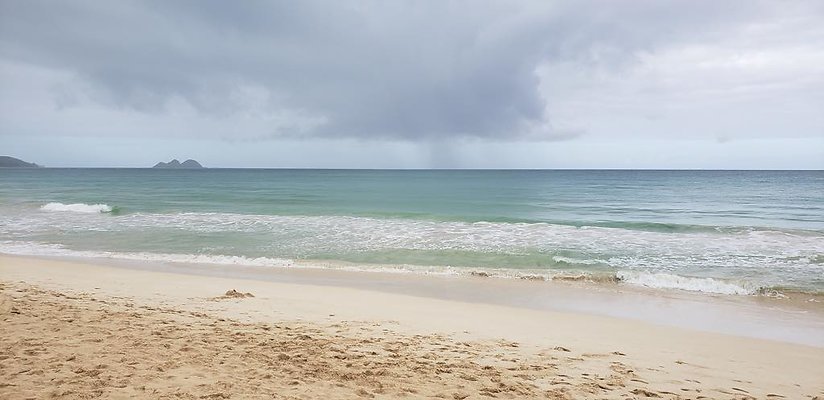 th 20190113 143731 th 20190113 143731