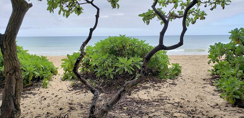 th 20190113 150034 th 20190113 150034