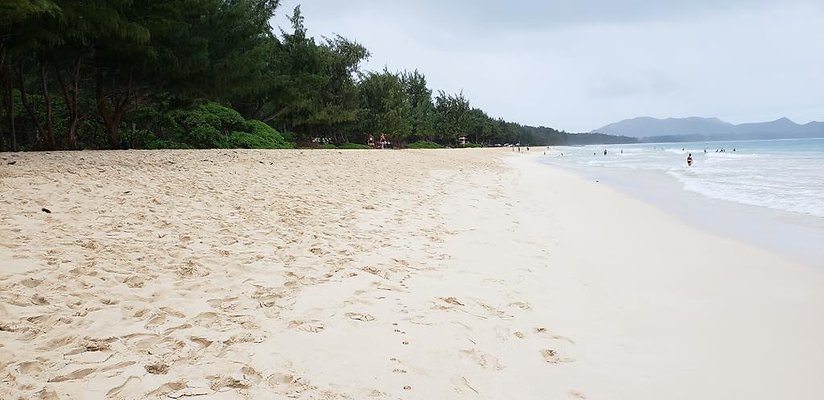 th 20190113 144702 th 20190113 144702