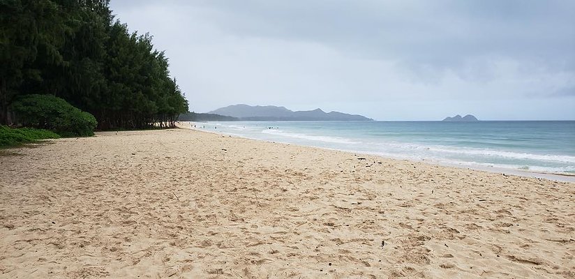 th 20190113 143656 th 20190113 143656