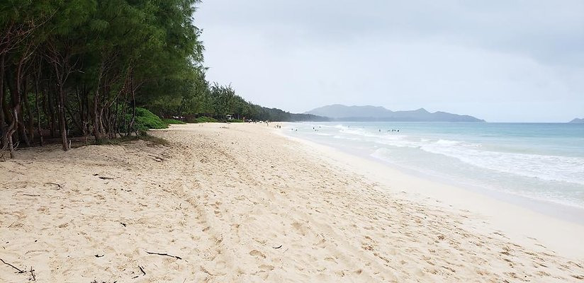 th 20190113 144302 th 20190113 144302