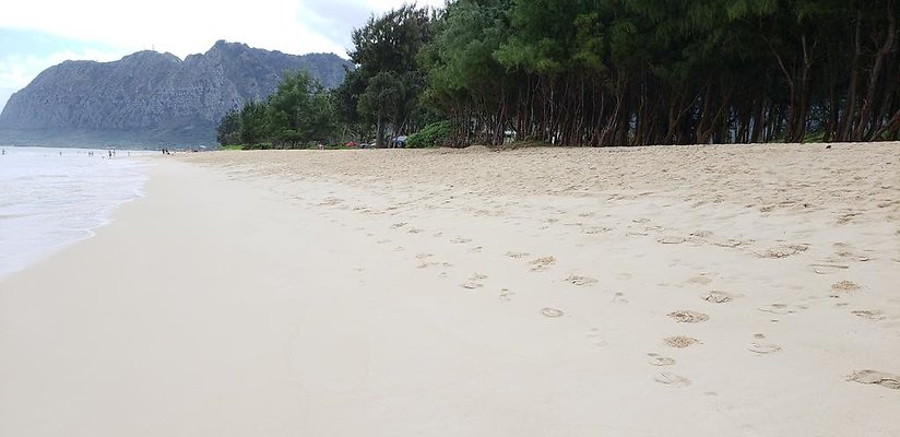 th 20190113 144552 th 20190113 144552