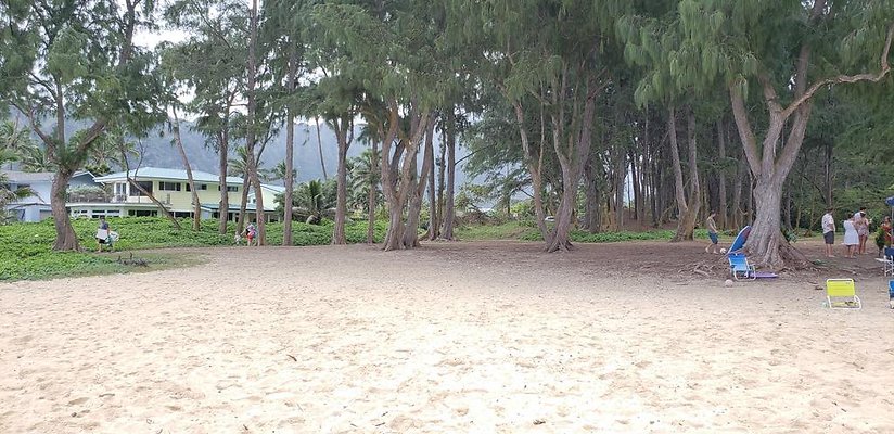 th 20190113 143943 th 20190113 143943