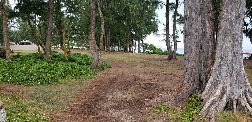 th 20190113 143415 th 20190113 143415