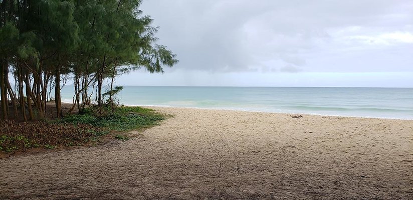 th 20190113 144218 th 20190113 144218