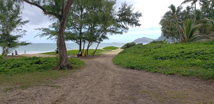 th 20190113 143610 th 20190113 143610