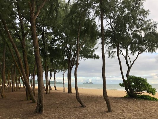 Waimanalo Sherwood Beach Waimanalo Sherwood Beach