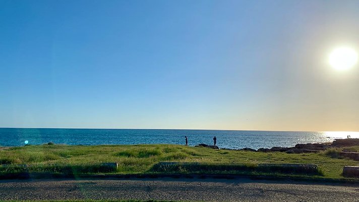 th IMG 1939 th IMG 1939