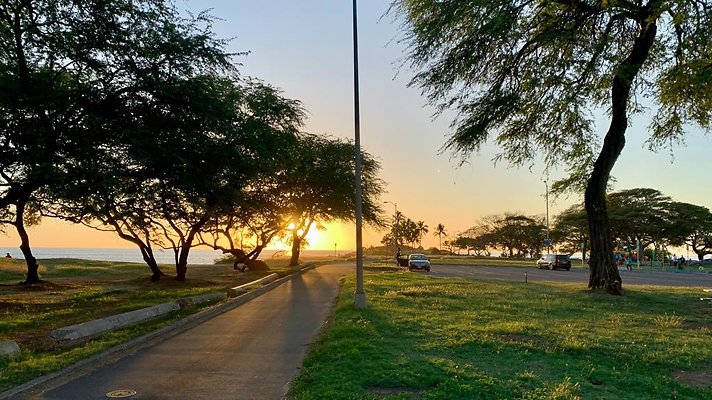 th IMG 2017 th IMG 2017