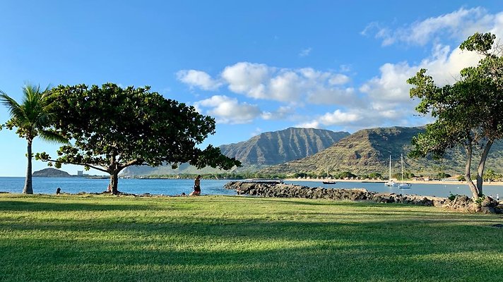 th IMG 1960 th IMG 1960