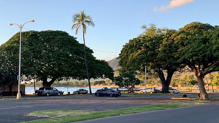 th IMG 2012 th IMG 2012