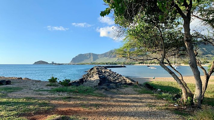 th IMG 1956 th IMG 1956