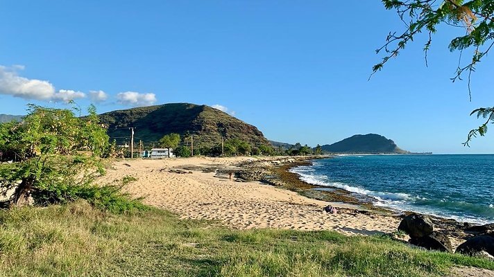 th IMG 1945 th IMG 1945